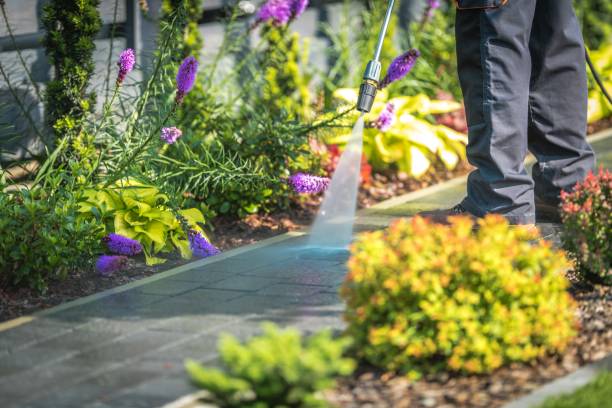 Best House Exterior Washing  in Olyphant, PA