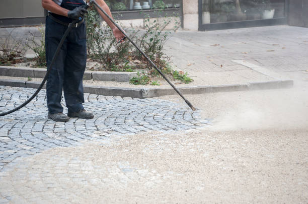 Best Animal Enclosure Cleaning  in Olyphant, PA