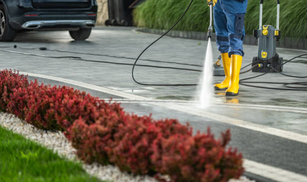 Best Pool Deck Cleaning  in Olyphant, PA